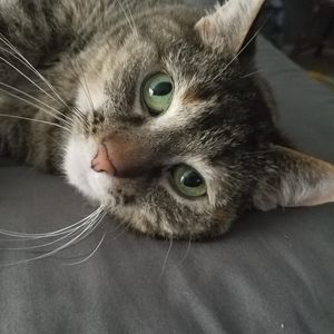 Meet your Posher, Jen